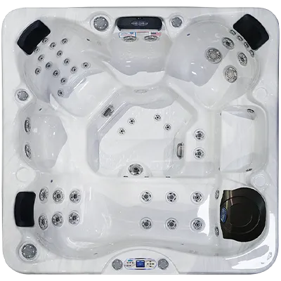 Avalon EC-849L hot tubs for sale in Normal