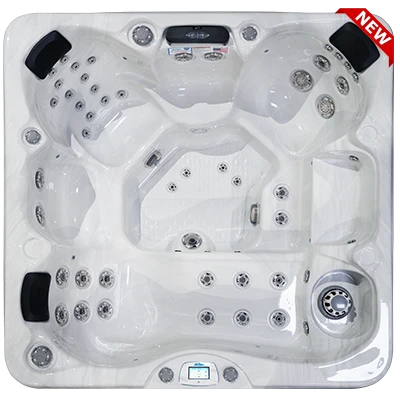 Avalon-X EC-849LX hot tubs for sale in Normal