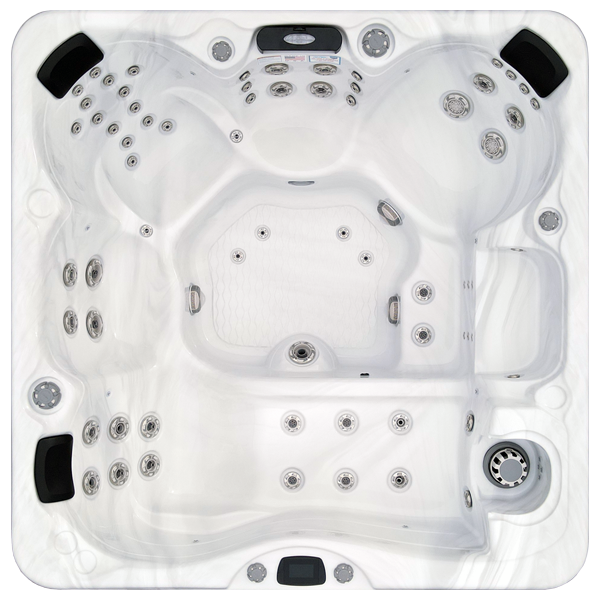 Avalon-X EC-867LX hot tubs for sale in Normal